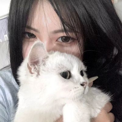 金博宝下载手机版